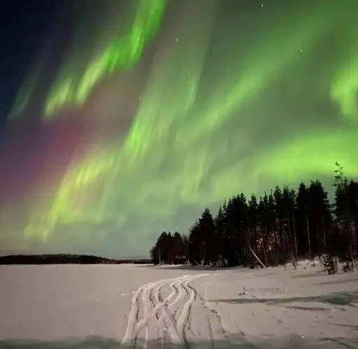 Дом отдыха Wilderness Onnela With Sauna